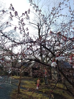 IMG_20220407_065533.jpg