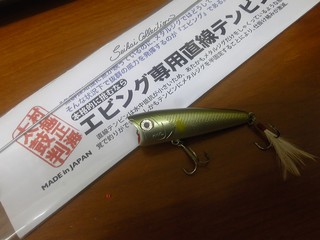 SH3B0258.jpg